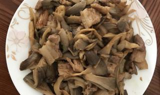蘑菇炒肉的做法王刚 蘑菇炒肉的做法